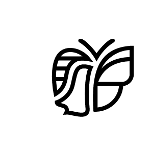 Chrysalide